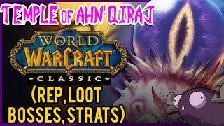 Temple of Ahn'Qiraj (AQ40) Classic WoW Guide ️ DUNGEON DIVES