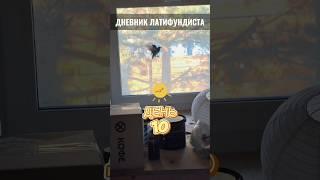 Дневник латифундиста. День десятый. #дача #благоустройствоучастка #грядки #жизньзагородом