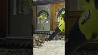 Souffleur Turbo Jet Whisper™ Brushless 36V MAX POWER RY36BLXB-0 - RYOBI®