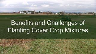 Benefits and Challenges of Planting Cover Crop Mixtures