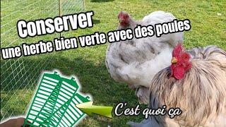 COMMENT préserver les espaces verts de vos poules