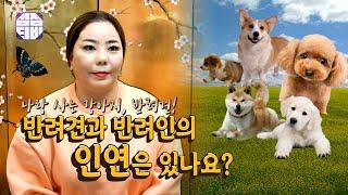 (서울점집) (사주) 반려견과 반려인의 인연은 있나요?!  [점점tv]