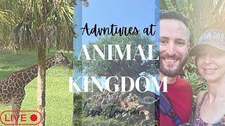 Adventures at Animal Kingdom- Disney World live - 7/24/2024