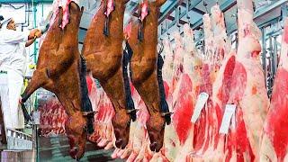 Modern horse meat production factory... Look what happens in horse meat?