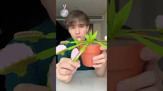 Radmiru is evaluating plants! #shorts