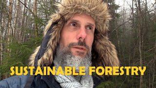 The Swedish Forest - sustainable forestry