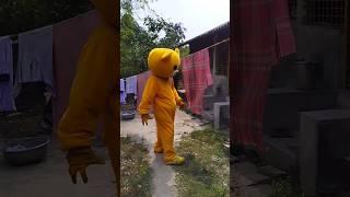 Teddy bear video #teddybear #shortsfeed #funny #crazy_teddy#bear  #funnyteddy #best_teddy