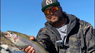 Eastern sierras ca fishing with so cal trout cartel