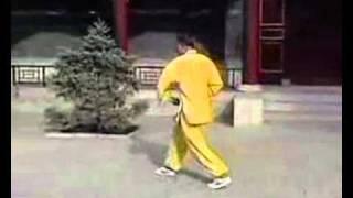 Twelve Animals Song Style Xingyiquan