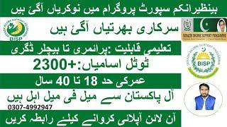 Benazir Income Support Programme (BISP) new jobs August 2024,Professor Amir