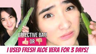 I USED ALOE VERA FOR 3 DAYS & THIS HAPPENED! | ALOE VERA PAMPAKINIS PAMPAGANDA NG MUKHA