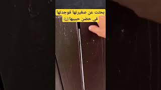 معلومة لعقلك