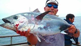 So Cal Offshore Topwater Popping for Yellowfin Tuna with bonus Cortes Bank Bluefin.