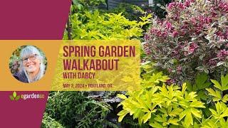 Spring Walkabout Tour with Darcy Daniels in Her Portland, Oregon Garden