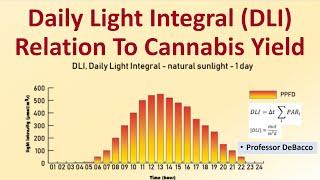 Daily Light Integral DLI Relation To Cannabis Yield