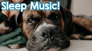 NEW Music for Dogs 2018! Help Your Dog Sleep and Chill with this Calming Music for Dogs and Puppies!