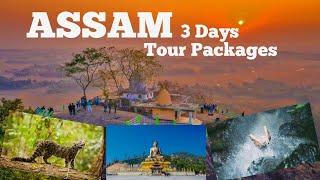 ASSAM FAMOUS PLACES | Top 10 Tourist Places In Assam | Assam Tour Places | Kaziranga National Park