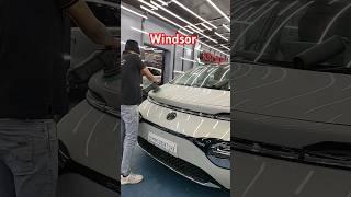 Small Mark's Removing... #windsor #ytshorts #automobile