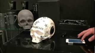 ROEN ロエン　Bluetooth Stereo Skull Speaker