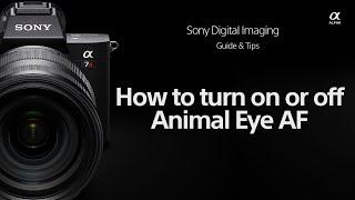 Sony  |  How To's  |  How to turn Animal Eye AF on/off  |  Sony Alpha camera