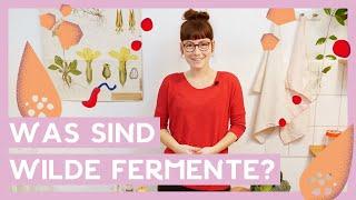 Was sind wilde Fermente? I Milchsäuregärung, Fermentation, Geschichte