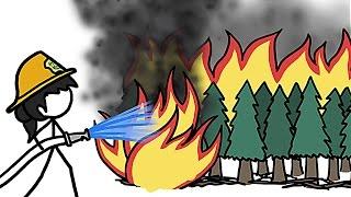 How Fighting Wildfires Makes Them Worse