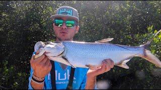 Ten Thousand Islands Juvenile Tarpon & Snook Fishing