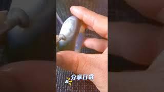 历经三天终于完工了 #吊坠挂件 # 珠寶直播 │ 翡翠 直播 │ 翡翠 │ 玉 翡翠戒面 │ 翡翠 玉手镯 │ 翡翠 玉石 │ 珠寶 翡翠 ，直播 美玉 翡翠，直播 美玉 翡翠  #翡翠 珠寶 #冰种