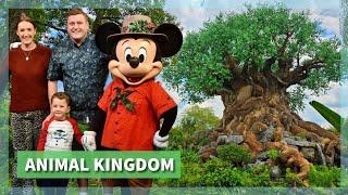 Disney's Animal Kingdom | Quiet & Relaxed Day of Rides & Shows | Eating at Denny's & Chilli's