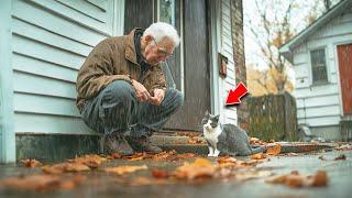 Elderly Man Takes In Pregnant Street Cat During Storm. 3 Months Later, Something INCREDIBLE Changes