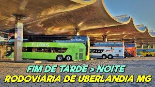 ÔNIBUS BONITOS e TOP na RODOVIÁRIA de UBERLANÂNDIA no FIM DE TARDE e NOITE!