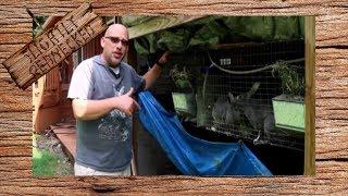 What To Do When Rabbits Won't Breed - The SR Rabbit Update 8-14-18
