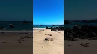 Start your day with a walk in nature to fill up with energy  #sea  #nature #subscribe #shorts