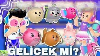 PKXD Pamps,Boto,Badz-Maru,Keroppi,Köpek Kitty,Tilki Kitty Ne Zaman Gelicek?