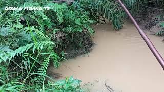 mancing seluang di air keruh dapet ikan tanah babon