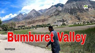 Bumburit Valley Road Trip Chitral Pakistan