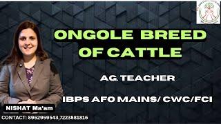 CATTLE BREED || ANIMAL HUSBANDRY || CGVYAPAM AGRICULTURE TEACHER || IBPS AFO.