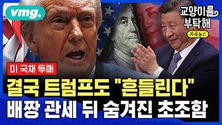 [지식뉴스]  결국, 트럼프도 미국도 "흔들린다"...배짱 관세 뒤 숨겨진 '초조함'의 속사정 (ft.이현식 SBS D콘텐츠제작위원) / 교양이를 부탁해 / 비디오머그
