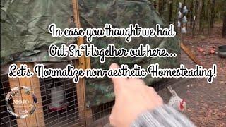 Ain’t no “slow living” around here - this is Homesteading 