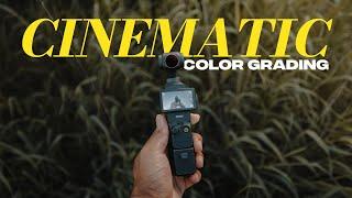 The Ultimate Guide to Color Grading DJI Osmo Pocket 3