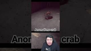 ANOMALI MR CRAB #windah #shorts