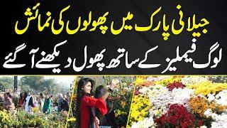 Flowers Exhibition In Jilani Park - Log Families Ke Sath Phool Dekhne Aa Gaye