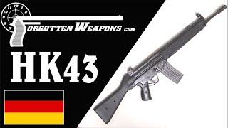 HK43: The 5.56mm "Paramilitary" Rifle