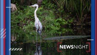 Protestors demand a change of course on proposals for new developments in state parks | NewsNight