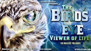 [Life Altering Music] The Bird's Eye Viewer of Life