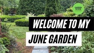 Welcome to My June Garden (Zone 6a Michigan, USA)