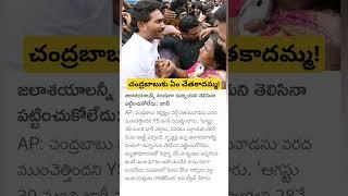 Ex CM YS Jagan comments on CM Chandrababu