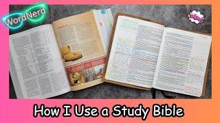 How I Use a Study Bible to Study the Bible