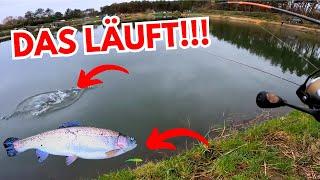 UL-Forellenangeln im Angelpark Thönse – Mit Gummi zum Erfolg auf Lachsforellen!  #troutfishing