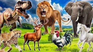 Wild Animals - Dog, Cat, Horse, Lion, Elephant, Dinosaur, Chicken, Leopard,Deer - Wild Animal Sounds